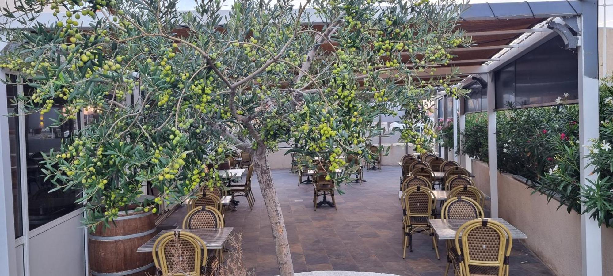 Hotel Restaurant Calypso Fos-sur-Mer Ngoại thất bức ảnh